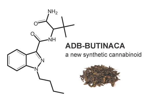 adb-butinaca cannabinoid